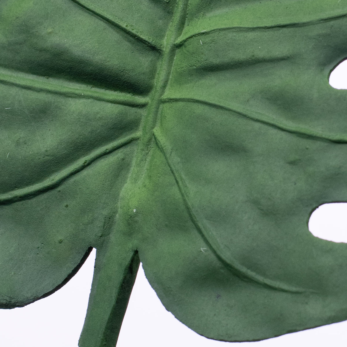 29" Split Leaf Philodendron Stem detail photo 3