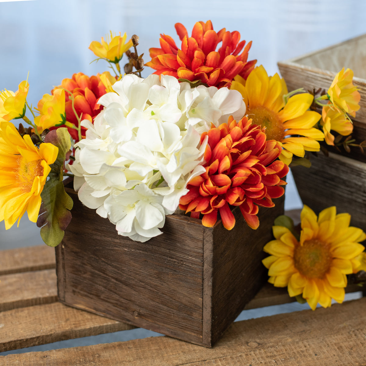 6" Square Wooden Planter: Brown Wash Lifestyle Photo