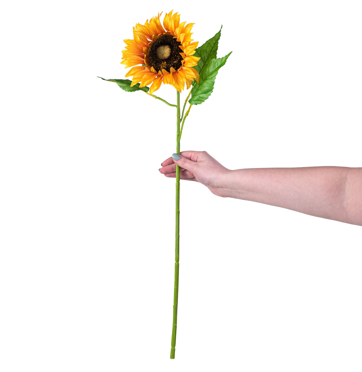 26" Sunflower Stem detail photo 3
