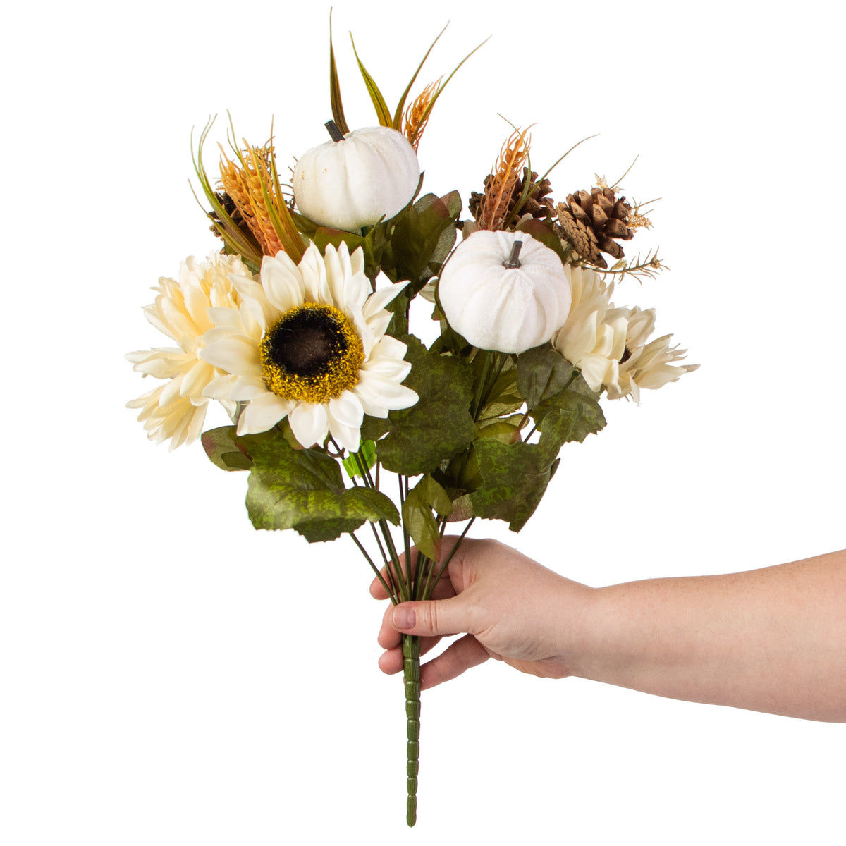 18" Sunflower Ball Mum Pumpkin Pine Bush: Cream detail photo 3