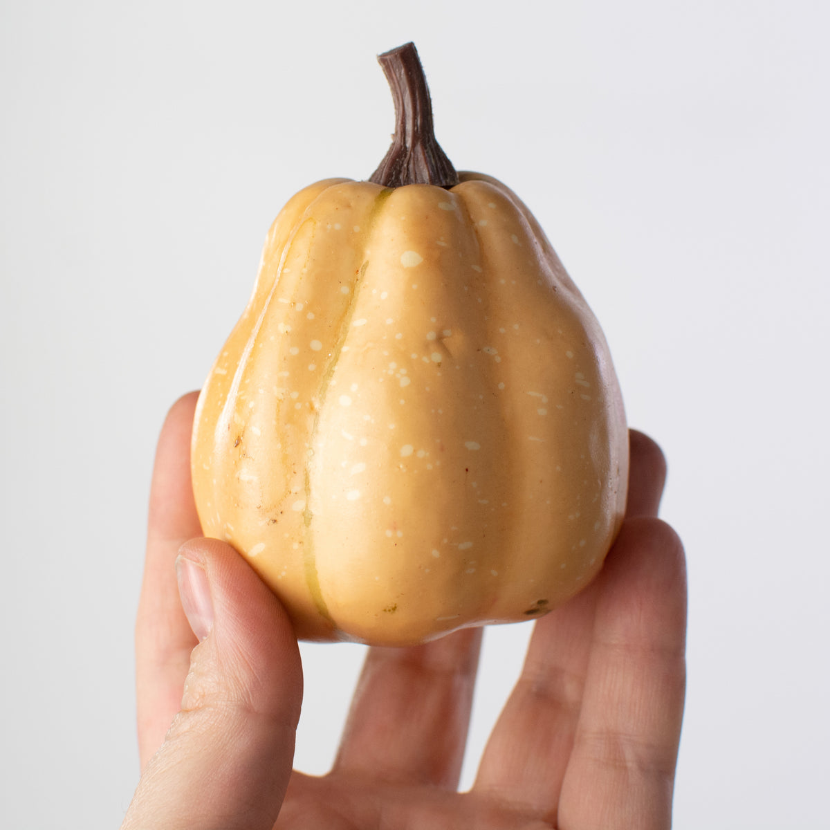 1.75" to 3.75" Assorted Artificial Pumpkins: Sage Fall (12) detail photo 3