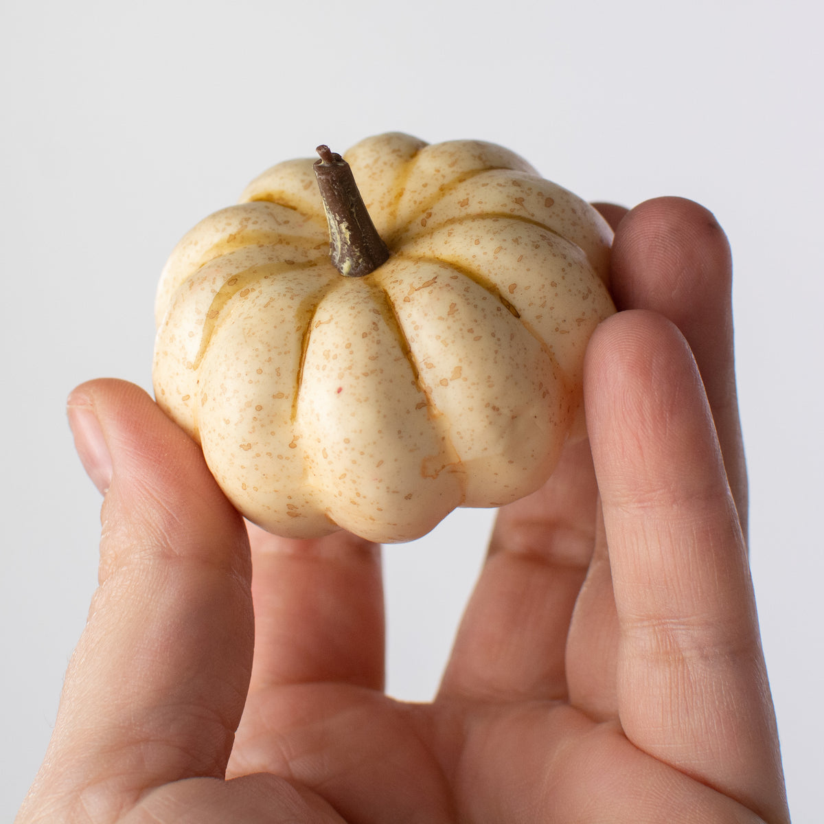 1.75" to 3.75" Assorted Artificial Pumpkins: Sage Fall (12) detail photo 5