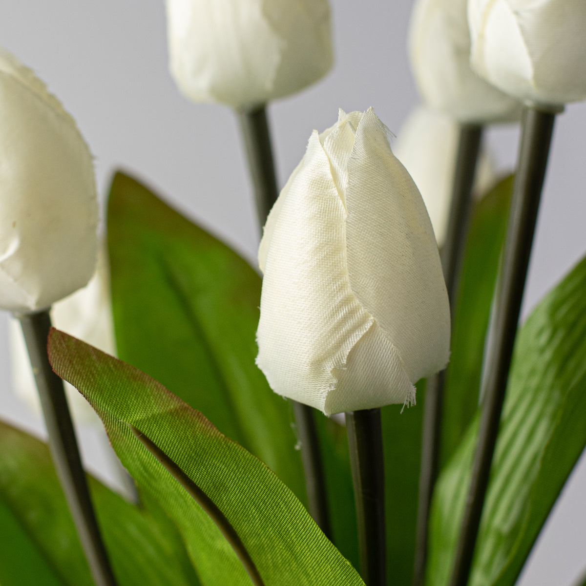 13" Tulip Bush: Cream (9 Stem) Lifestyle Photo