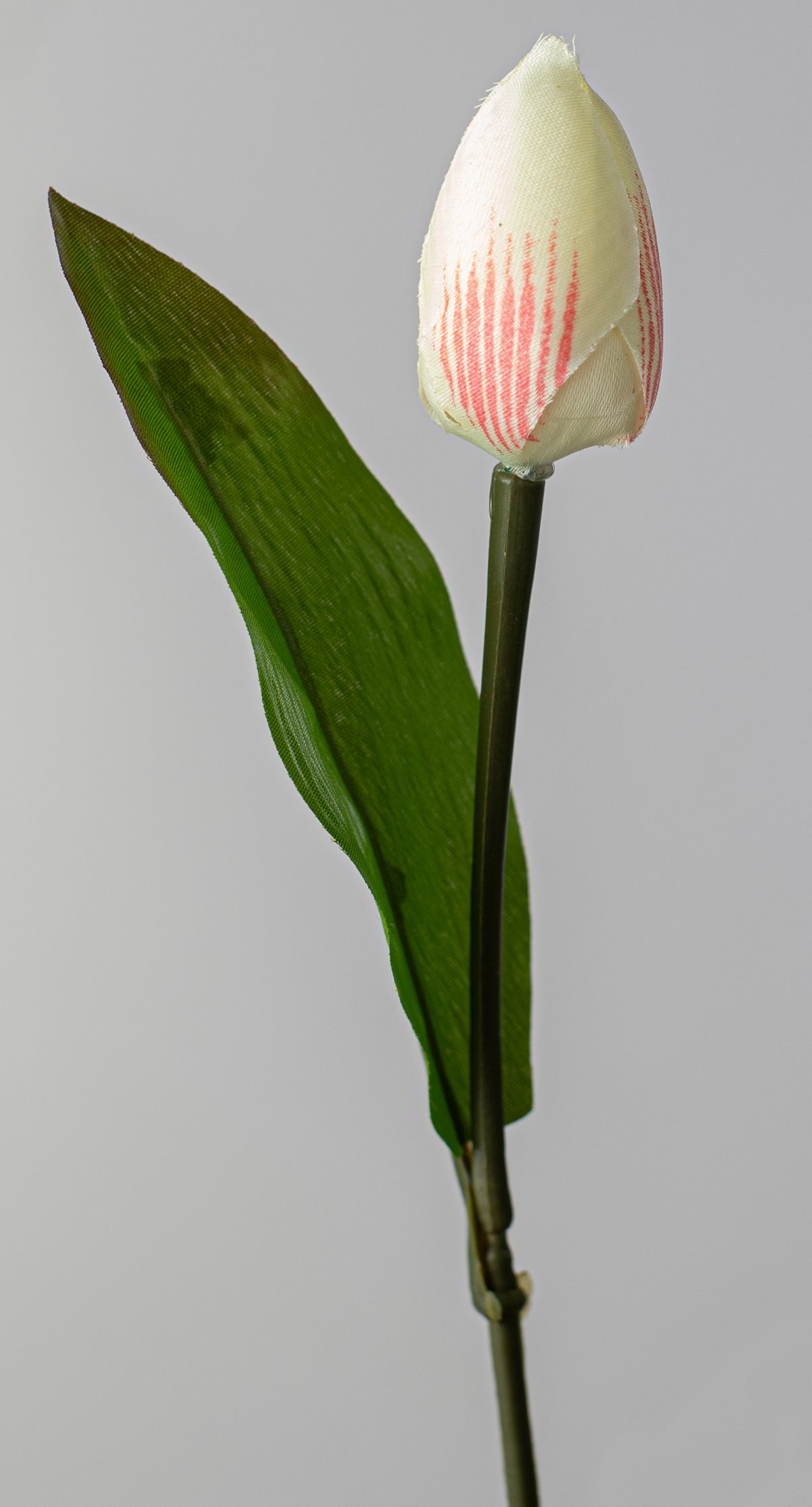 13" Tulip Bush: Cream & Pink (9 Stem) detail photo 4
