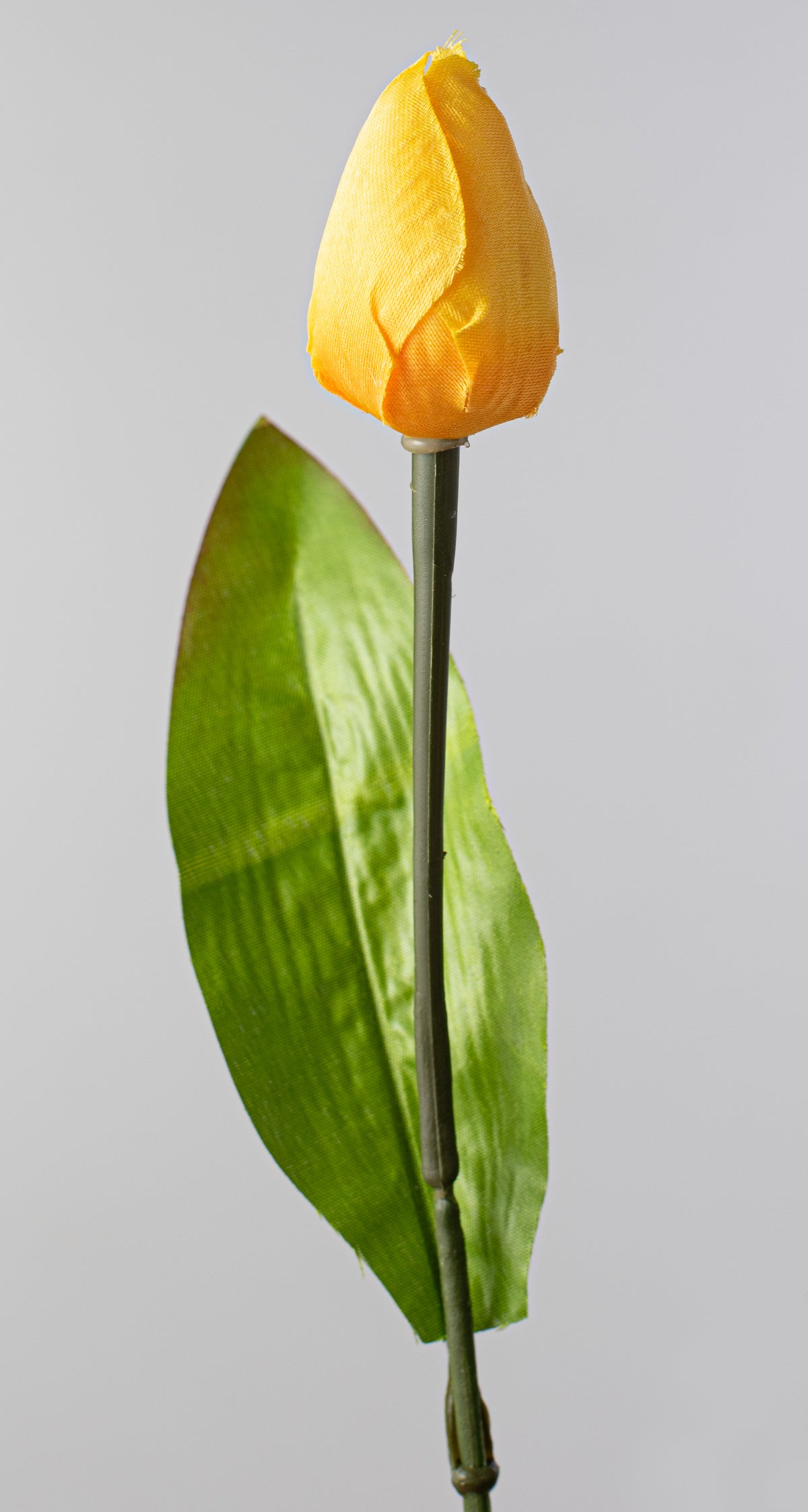 13" Tulip Bush: Yellow (9 Stem) detail photo 4