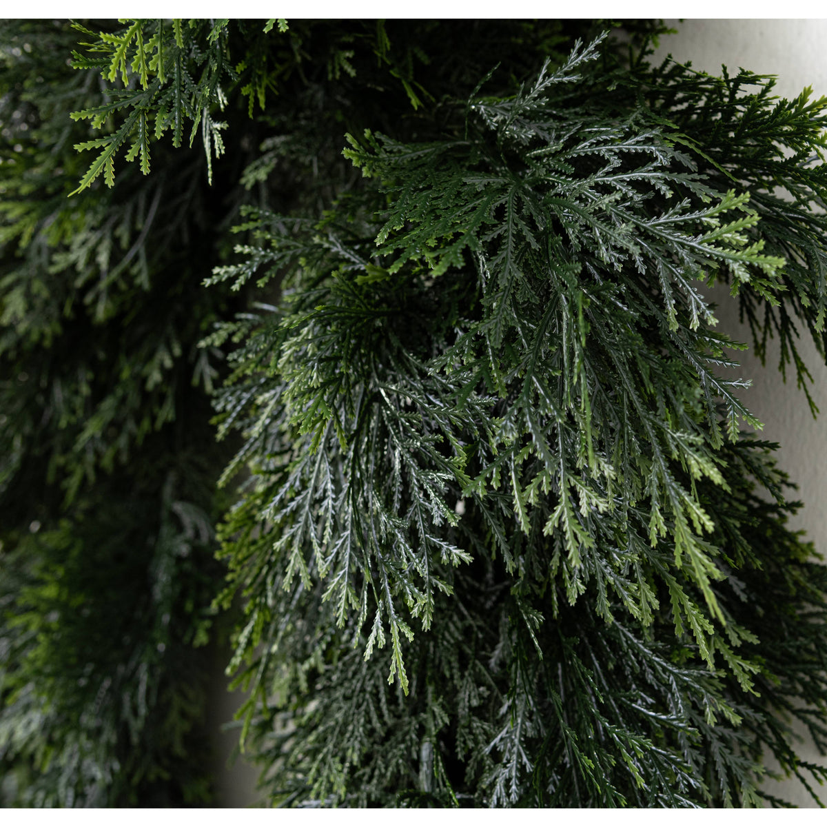 8' UV Protect Cedar Swag Garland detail photo 3