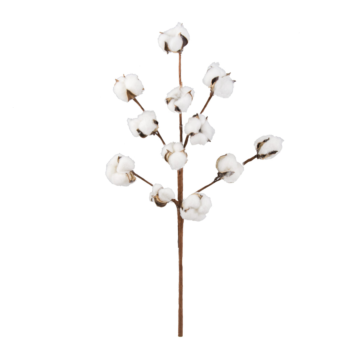 20" ValueLine Cotton Boll Spray Item Number: CO17-108