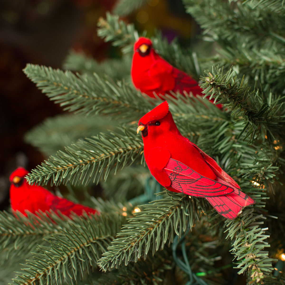 3.5" Velvet Feather Cardinal: Red (Set of 12) Lifestyle Photo