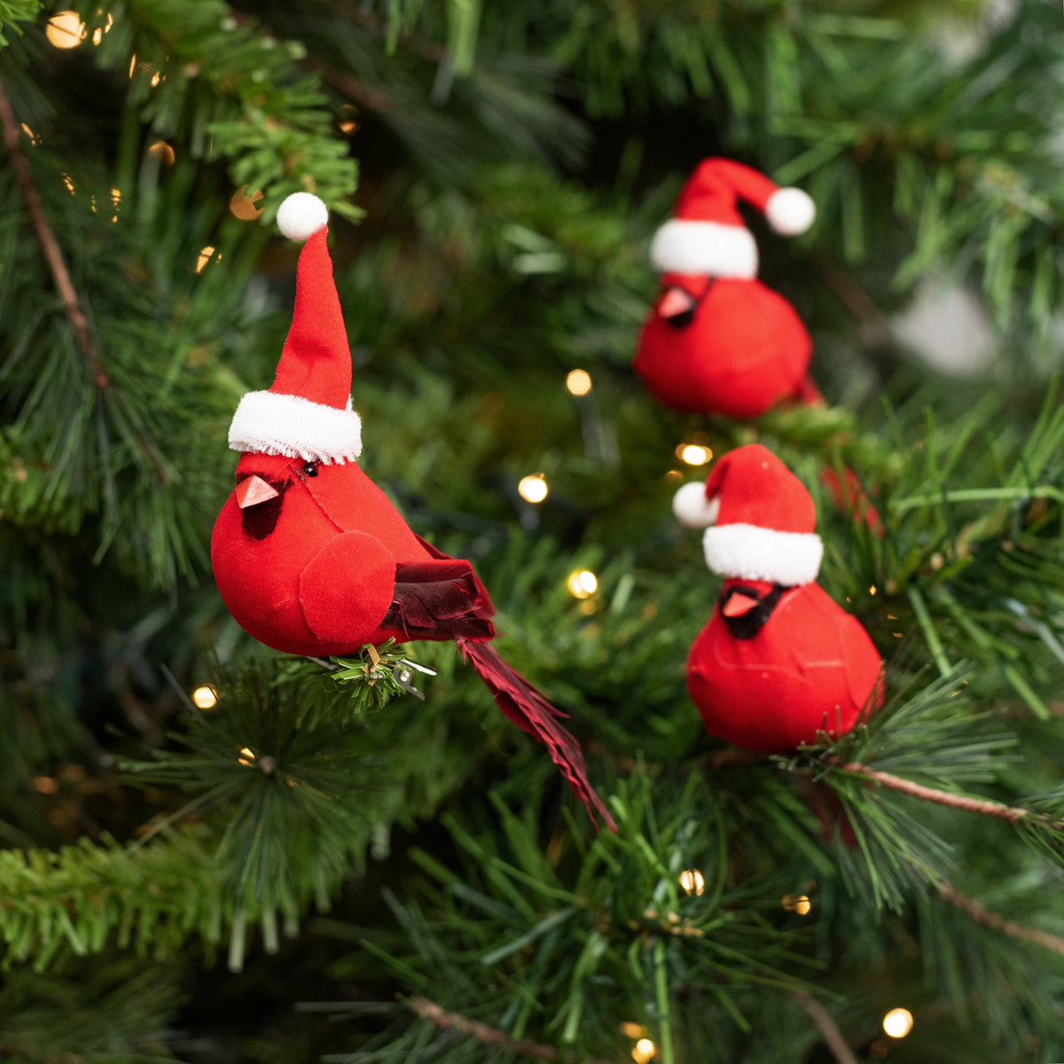 4" Velvet & Feather Santa Hat Cardinal Clip Ornaments (Box of 12) Lifestyle Photo