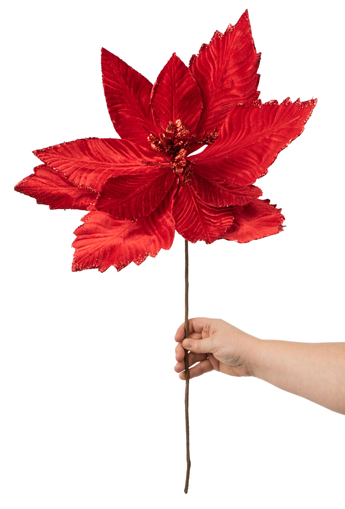 24" Velvet Glitter Luxe Poinsettia Stem: Red Lifestyle Photo