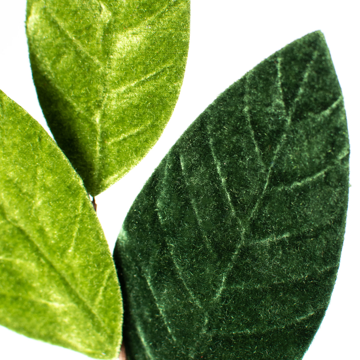24" Velvet Magnolia Leaf Spray: Two Tone Green Lifestyle Photo