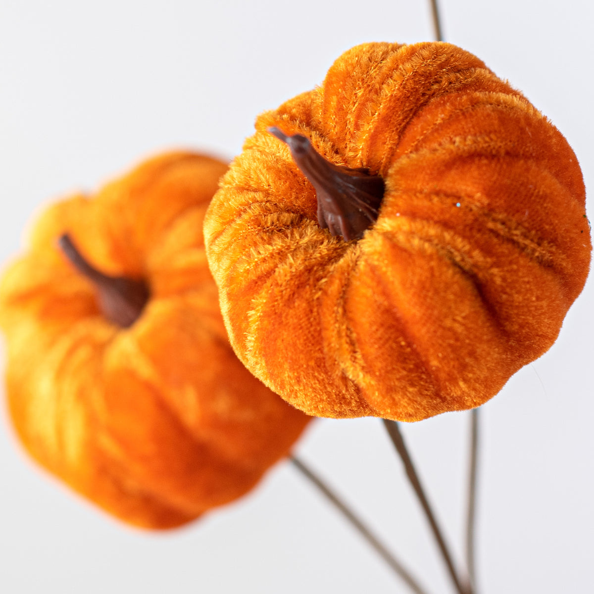 13" Velvet Mini Pumpkin Pick Lifestyle Photo