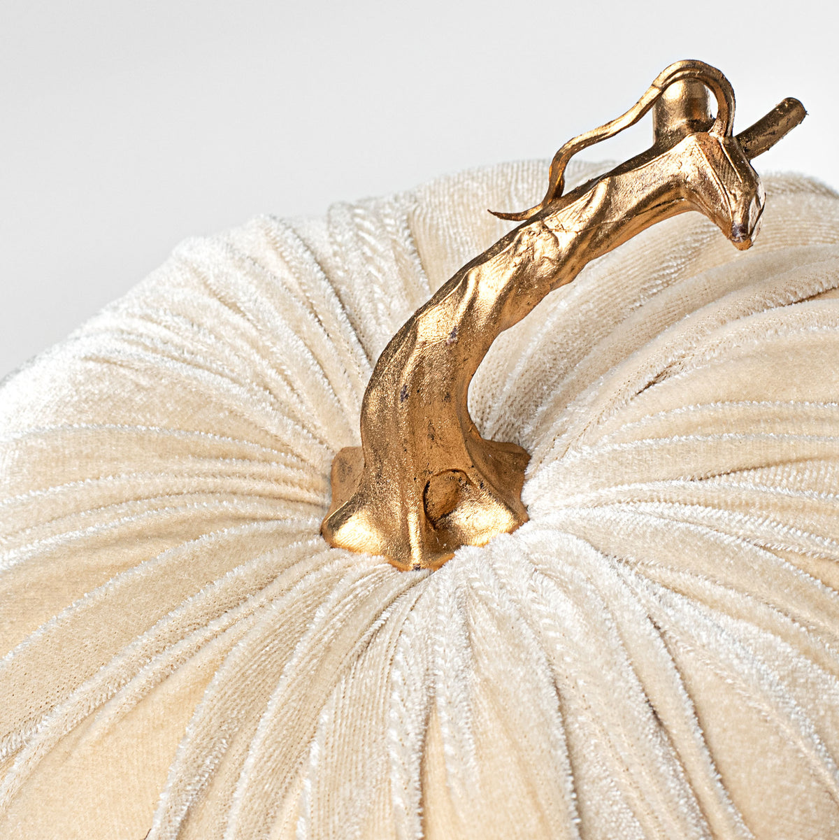 7" Velvet Pumpkin: Champagne With Gold detail photo 3