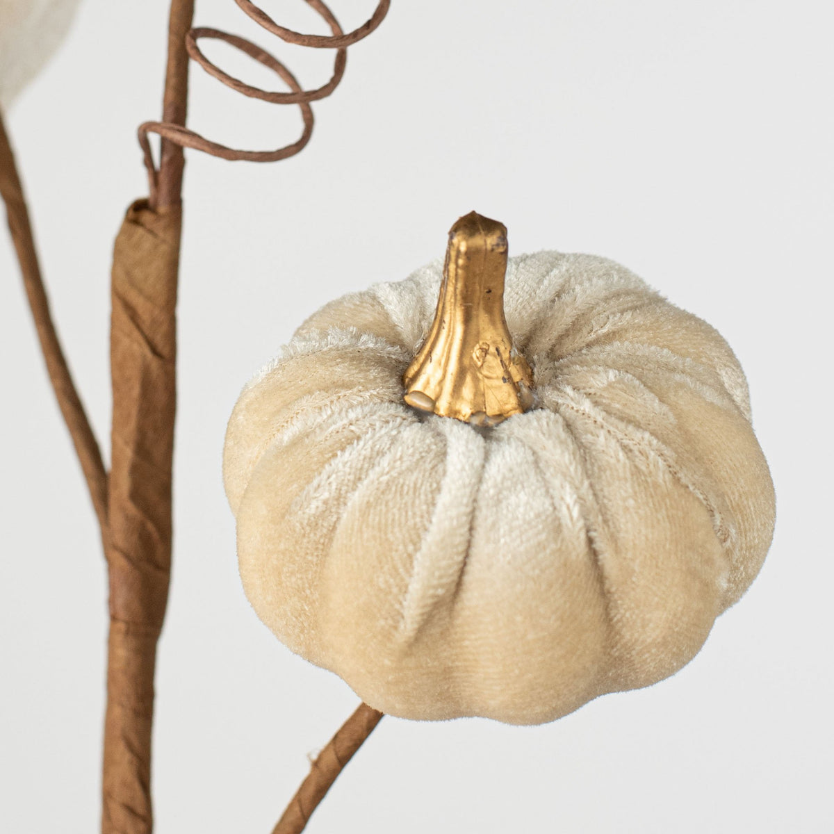 16" Velvet Pumpkin Pick: Champagne Lifestyle Photo