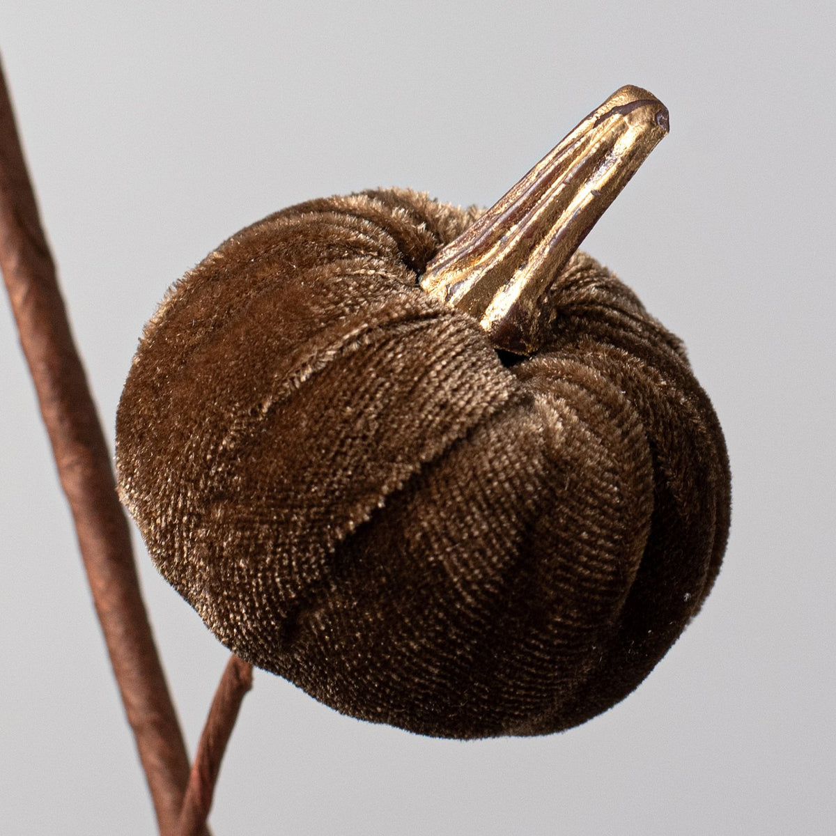 15" Velvet Pumpkins with Gold Stem Pick: Brown Lifestyle Photo