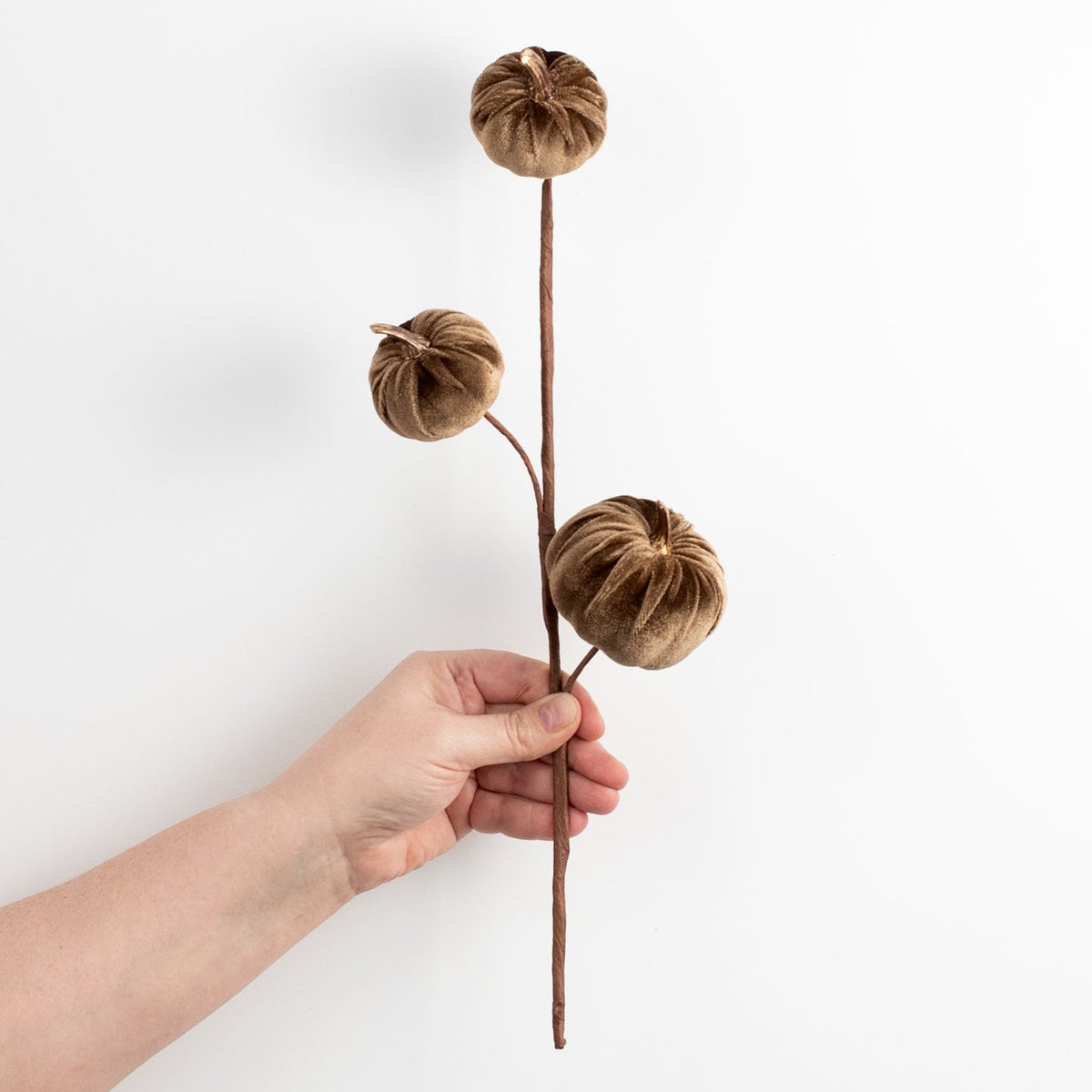 15" Velvet Pumpkins with Gold Stem Pick: Brown detail photo 3