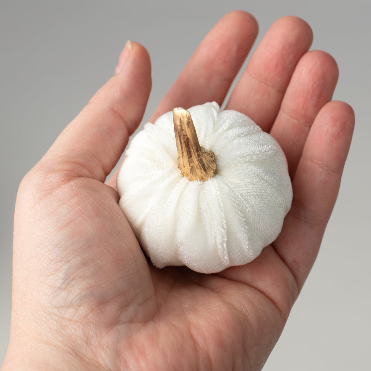 2" Velvet Pumpkins with Gold Stems: White (Pack of 6) Lifestyle Photo