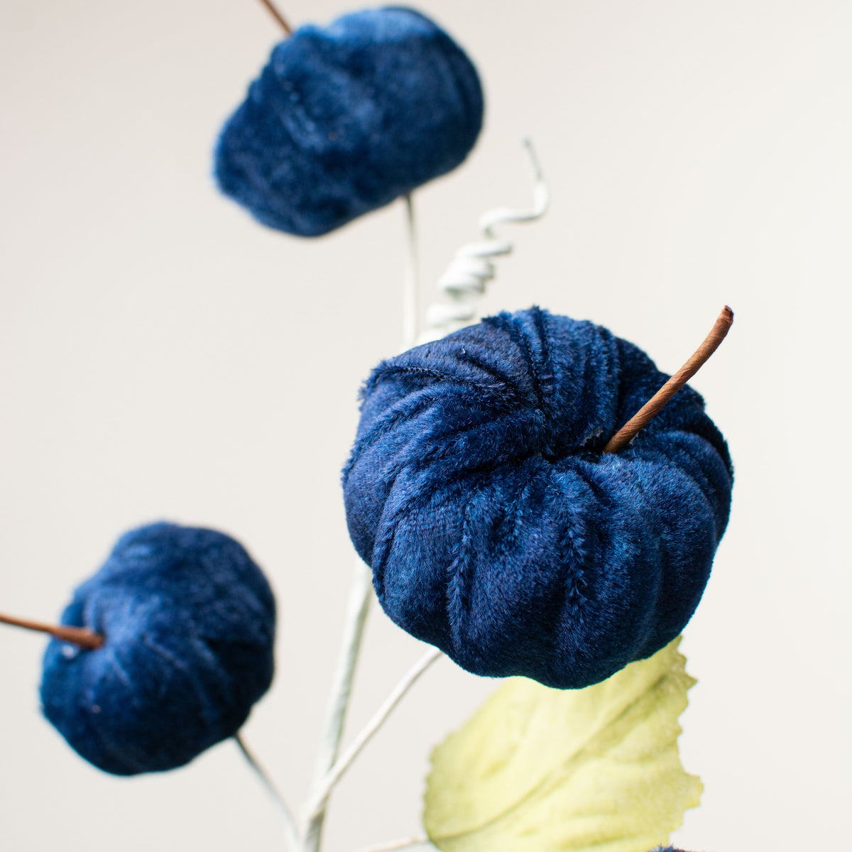 28" Velvet Pumpkins Spray: Dark Blue Lifestyle Photo