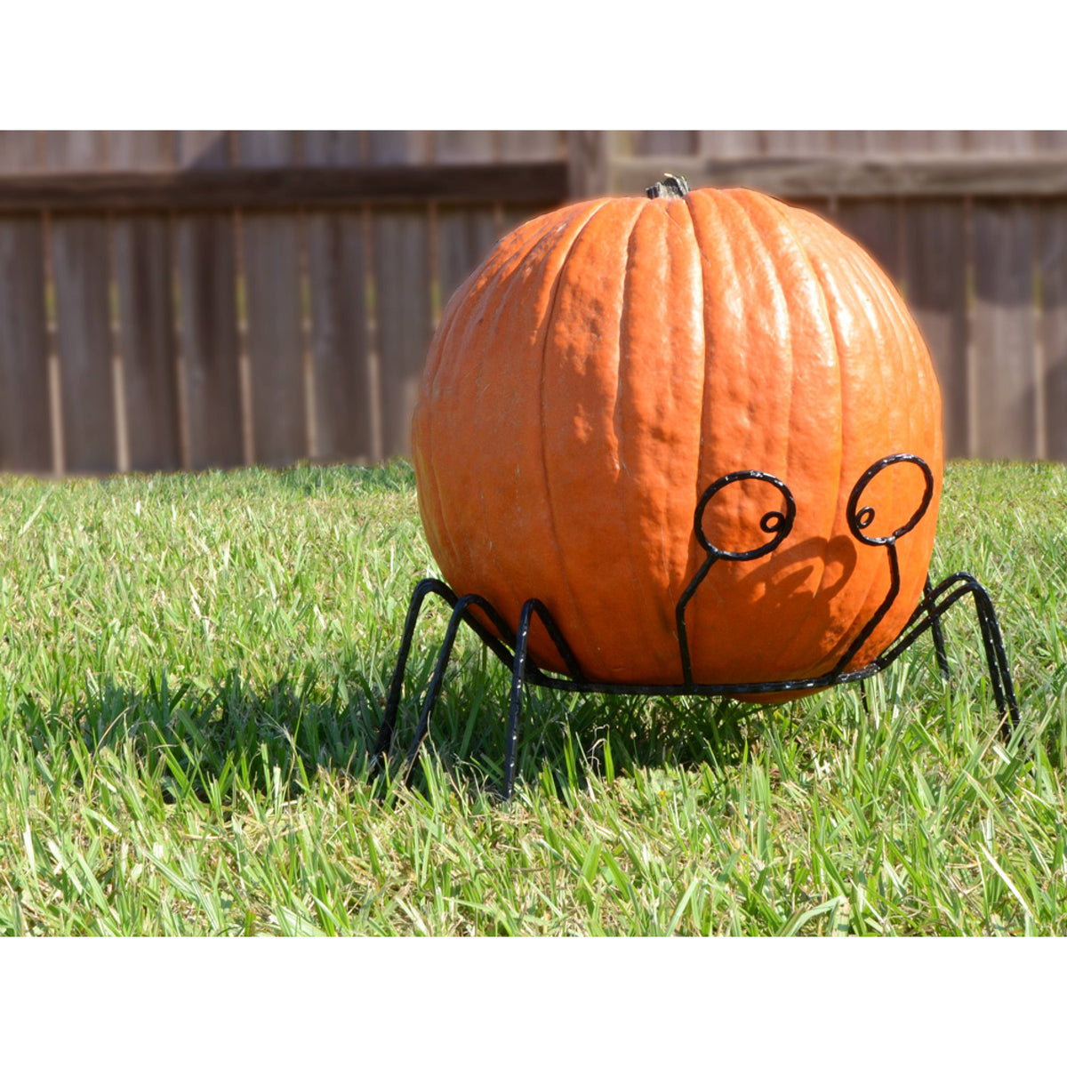 Wire Spider Pumpkin Stand Lifestyle Photo